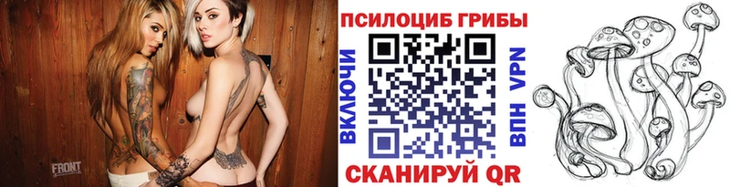 Галлюциногенные грибы прущие грибы  Свободный 
